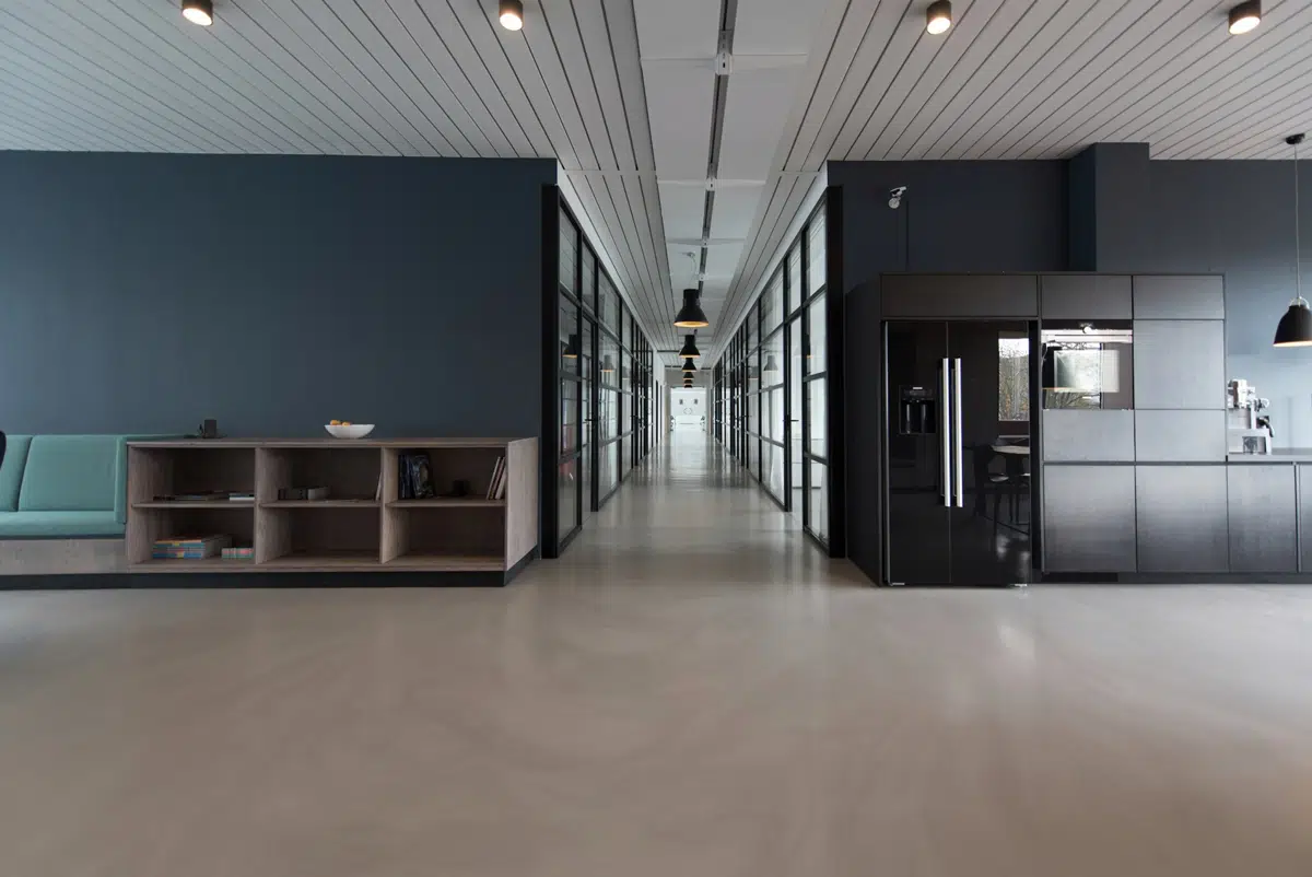 Modern professional office with natural light and collaborative workspace